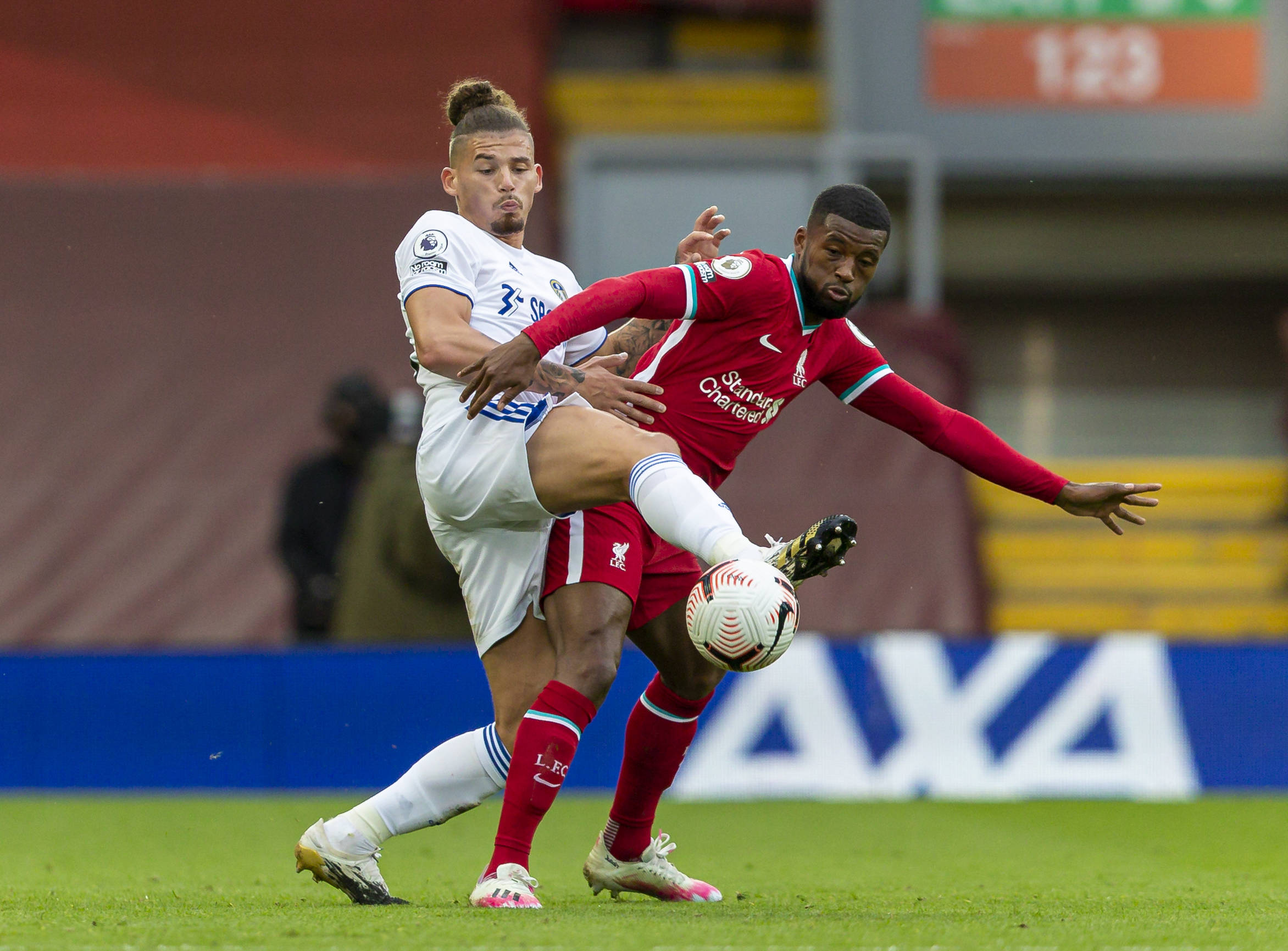 鲨鱼的一场 鲨鱼的一场