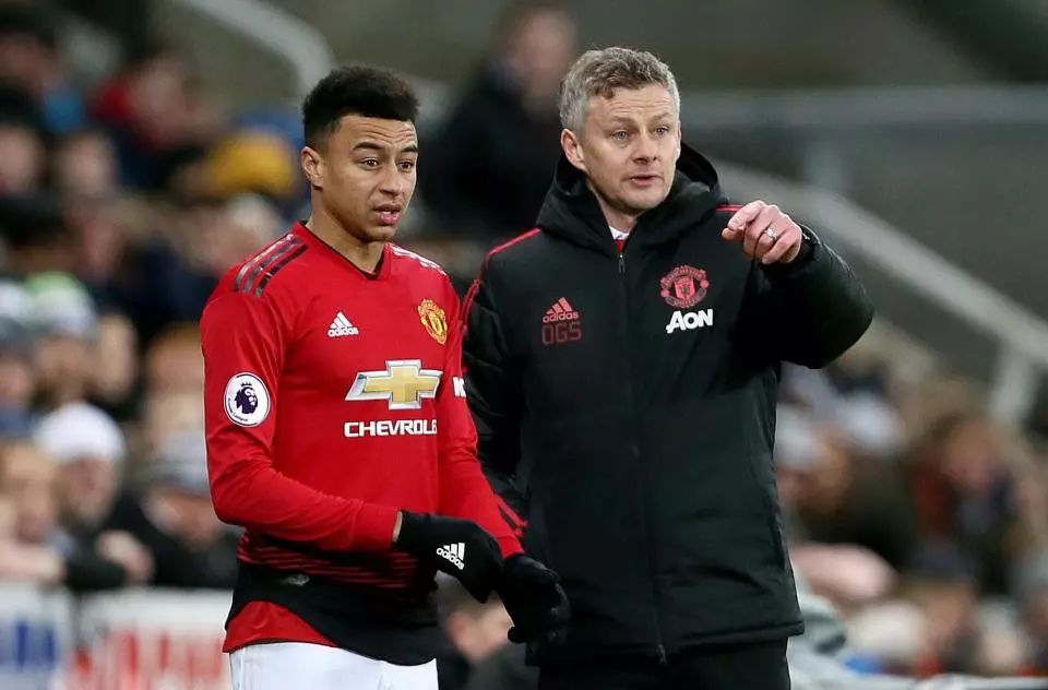 也是将年味 也是将年味